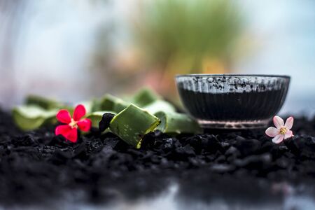 Janma Rashi, Grah Dasha & Ayurvedic Panchakarma Benefits for Wellbeing