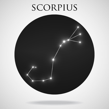 Leo to Scorpio: Embrace Change, Trust the Process